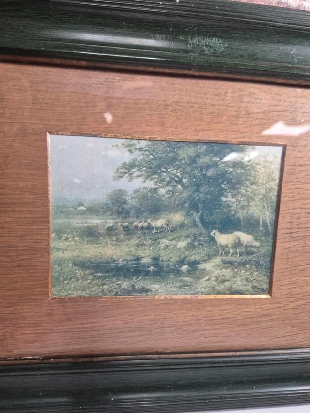 Vintage framed sheep picture