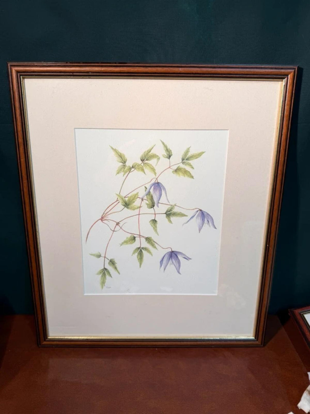 Vintage Clematis Framed Drawing