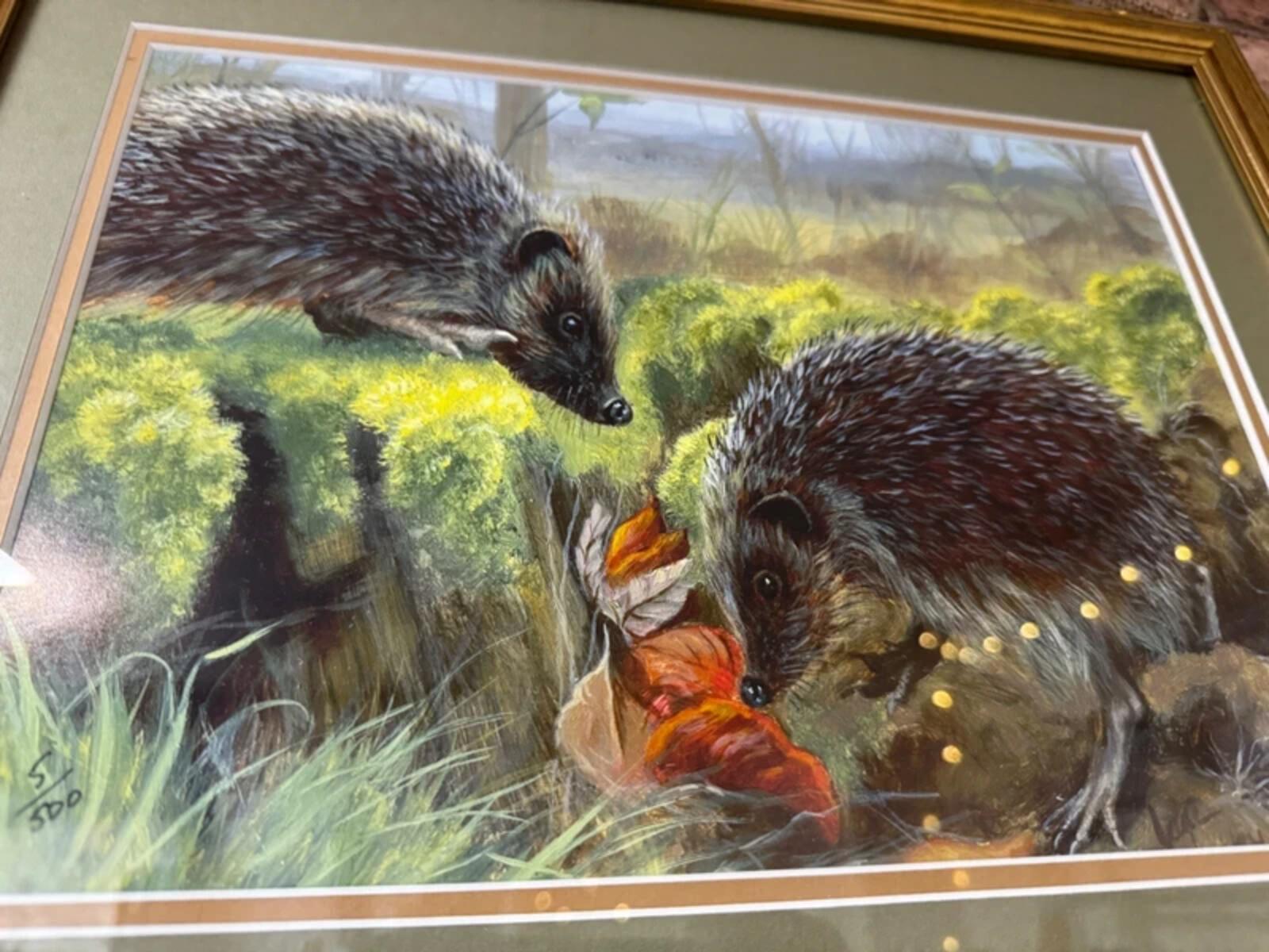 Jane Harvey "Hedgehogs" Gold Framed Limited Edition Print