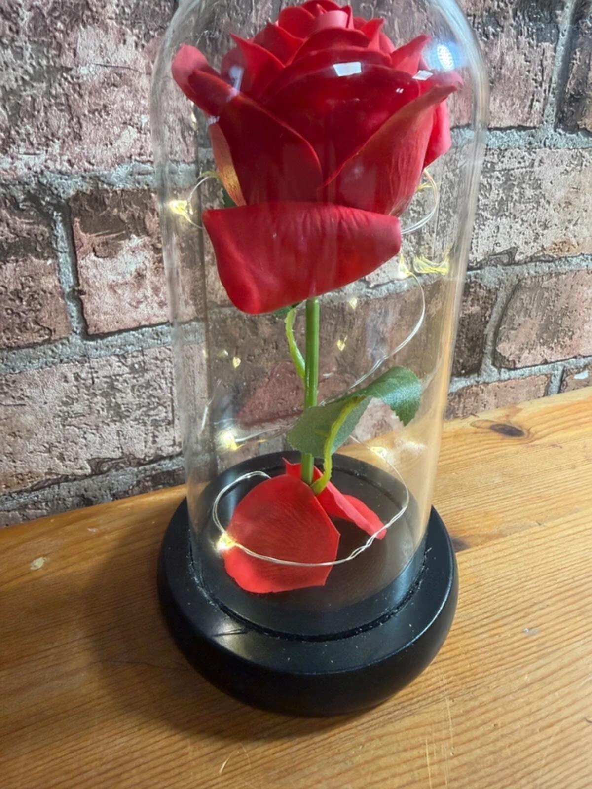 Faux Rose in Glass Dome Cloche