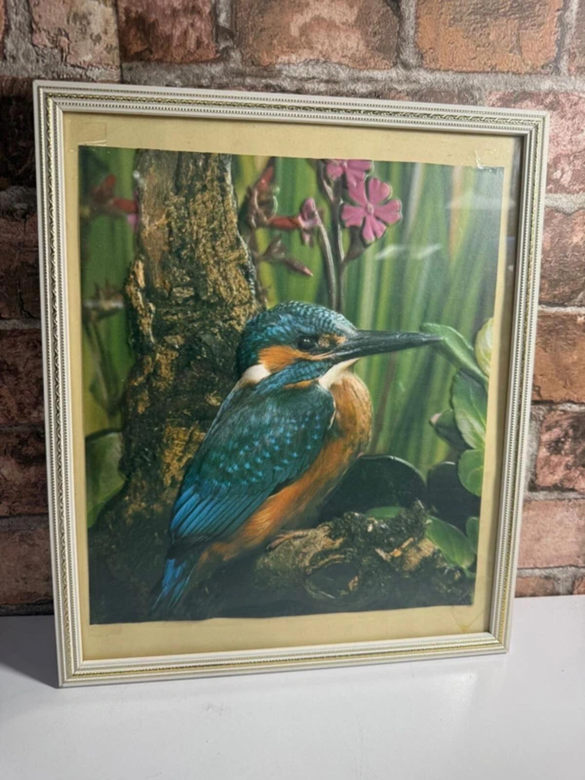 Vintage 3D Bird Framed Picture