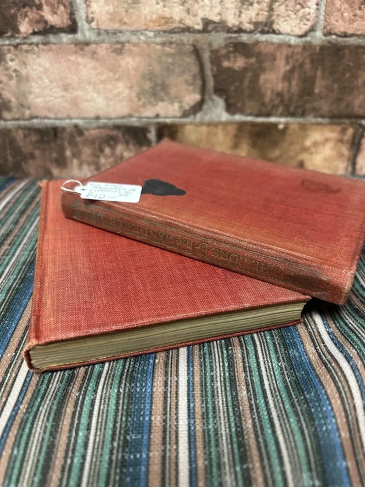 The Kings Treasuries of Literature Antique Books x 2