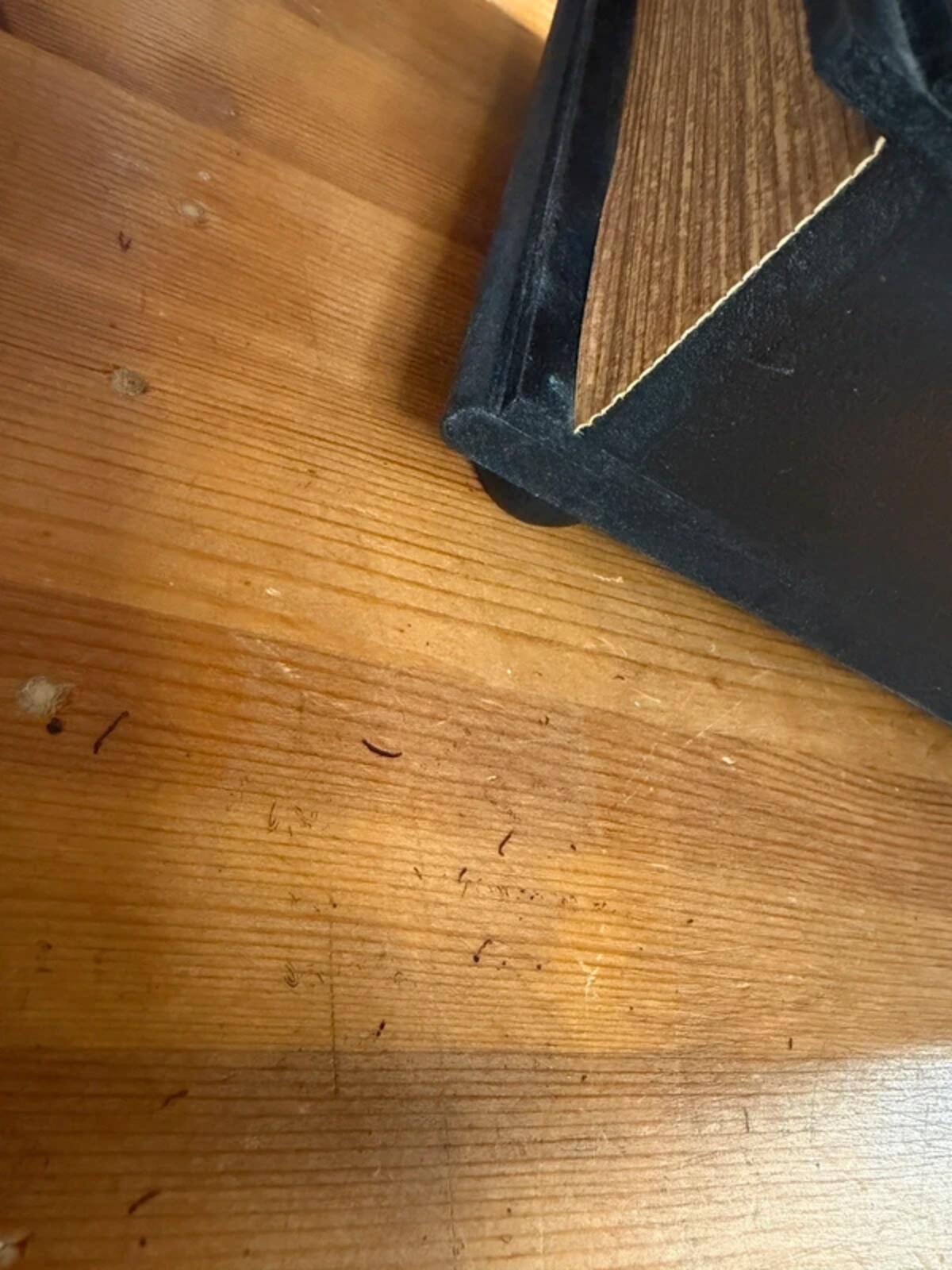 Vintage Style Shakespeare Themed Book Drawers