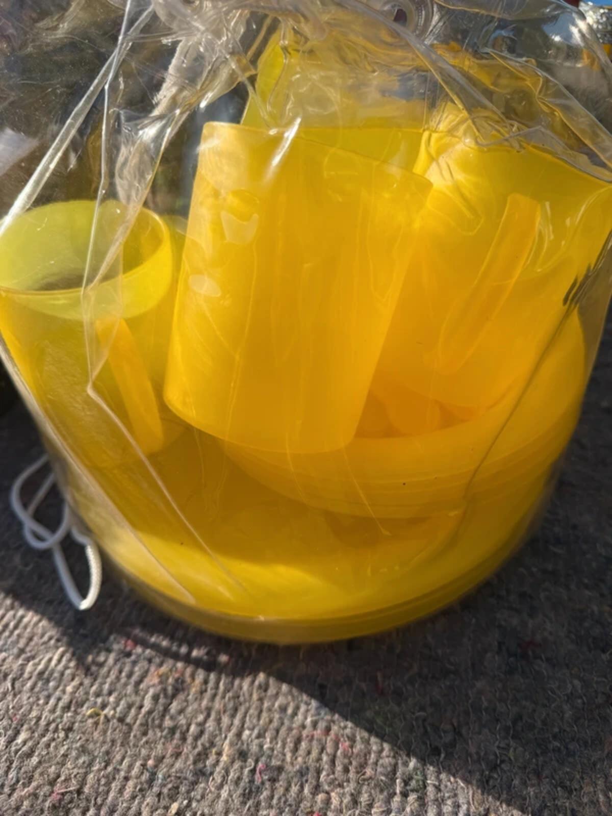 Vintage Yellow Picnic Set in Storage Bag