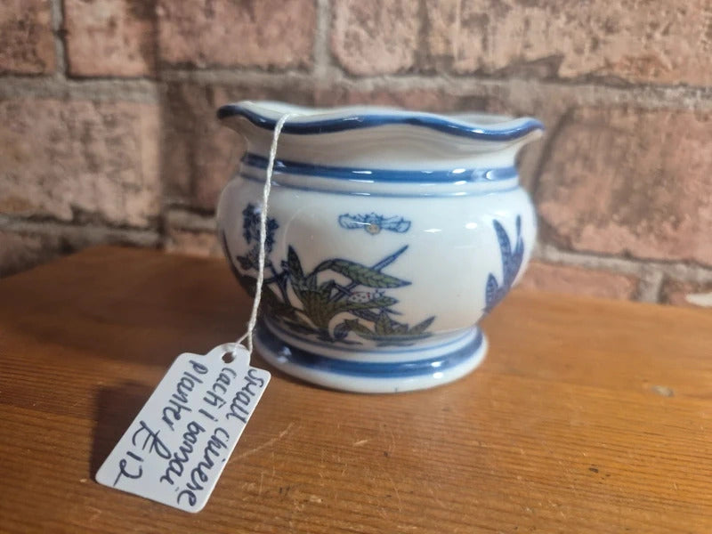 Small chinese cacti/bonsai plater