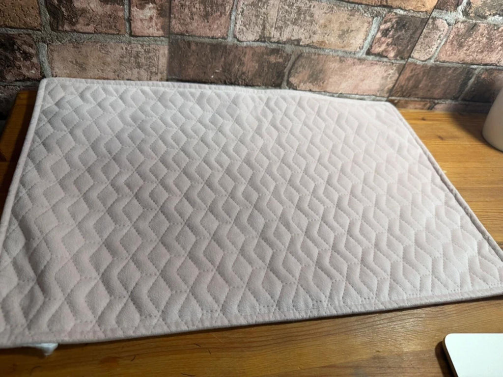 Next Rose Pink Placemats x 4