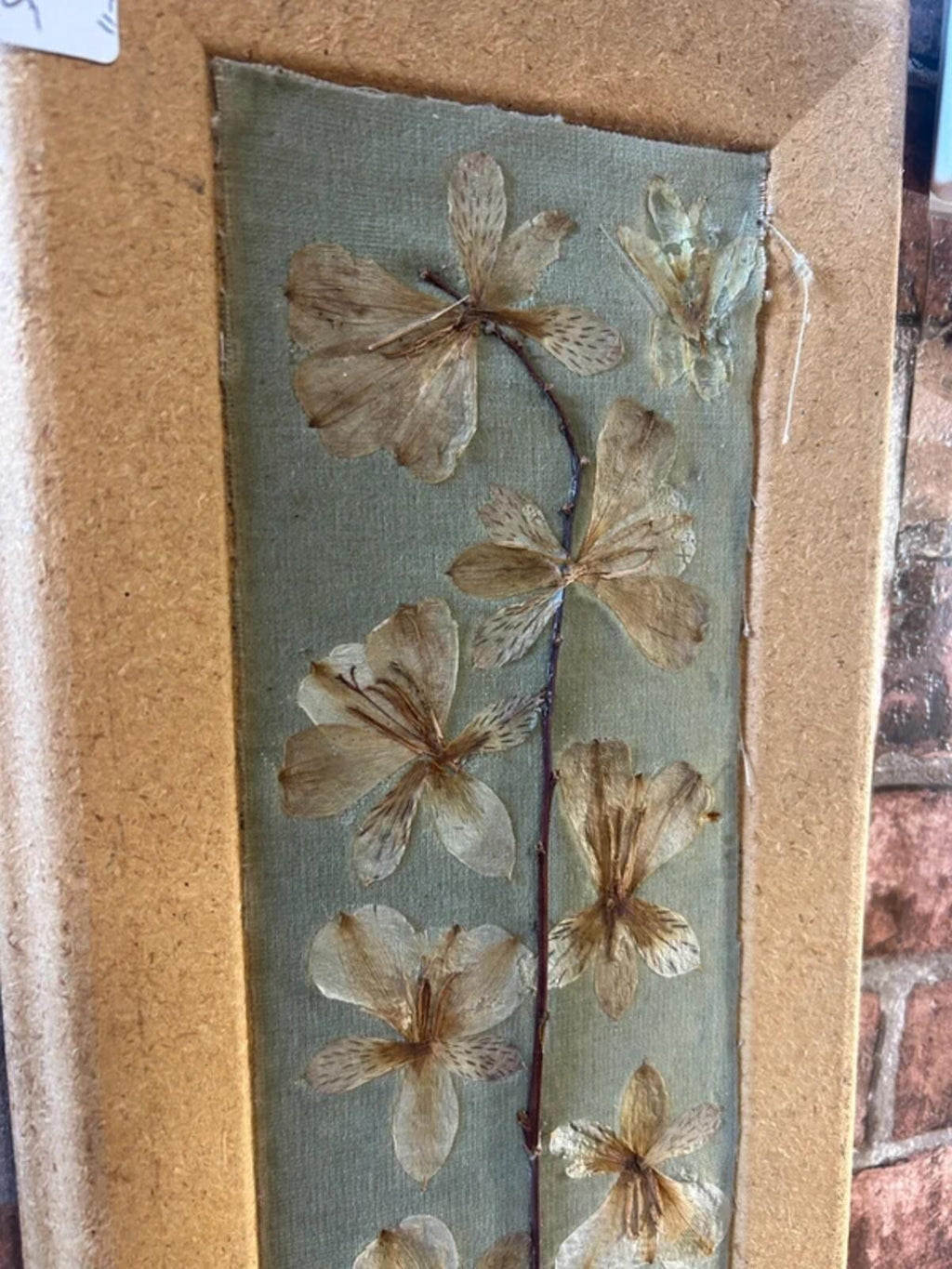 Cork Framed Dried Flowers