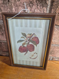 Vintage apple print