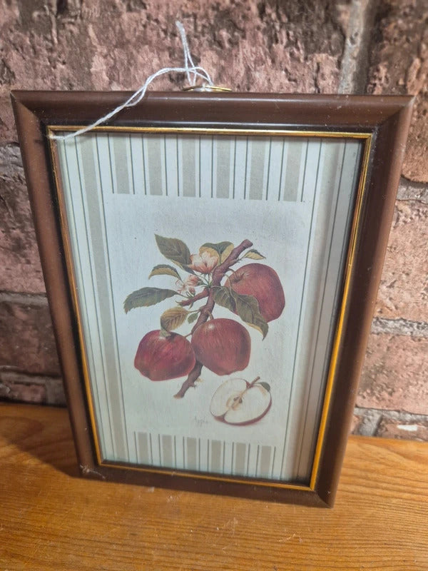 Vintage apple print