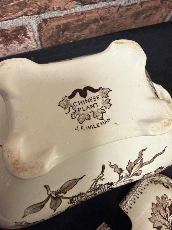 Chinese Plant J.F Wileman Small Tureen and Ladle