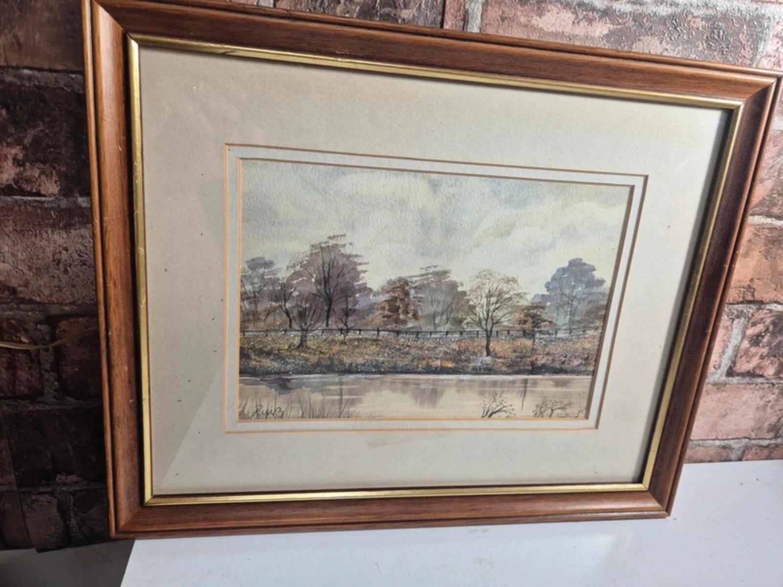 Ruiz framed Landscape watercolour