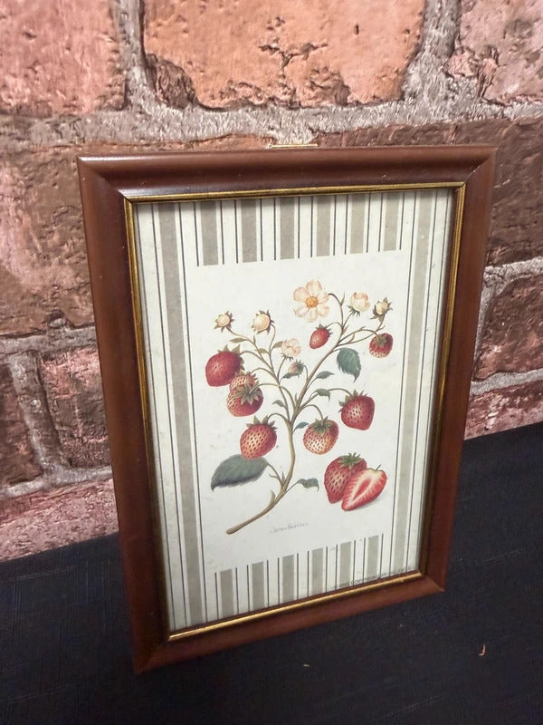Strawberry Botanical Vintage Framed Print