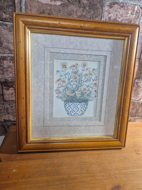 set of 4 vintage herb prints