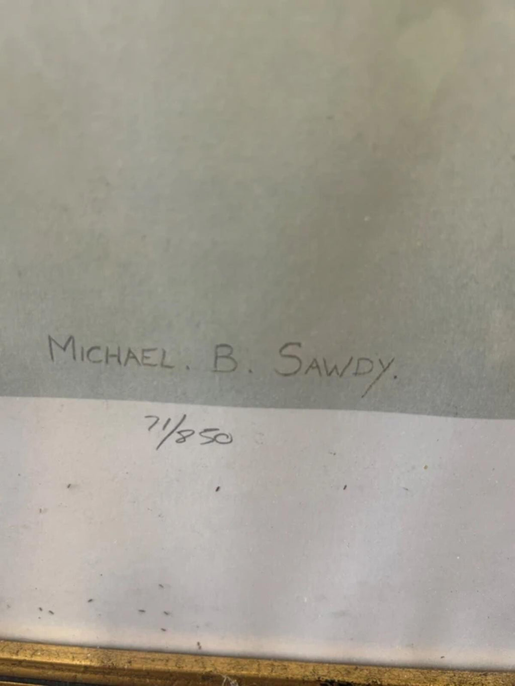 Michael B. Sawdy Swallow Framed and Signed Print