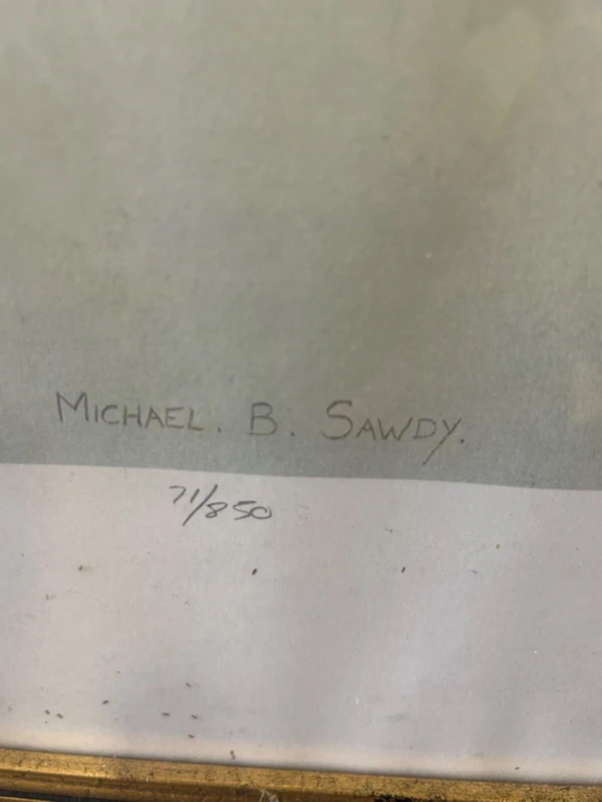 Michael B. Sawdy Swallow Framed and Signed Print
