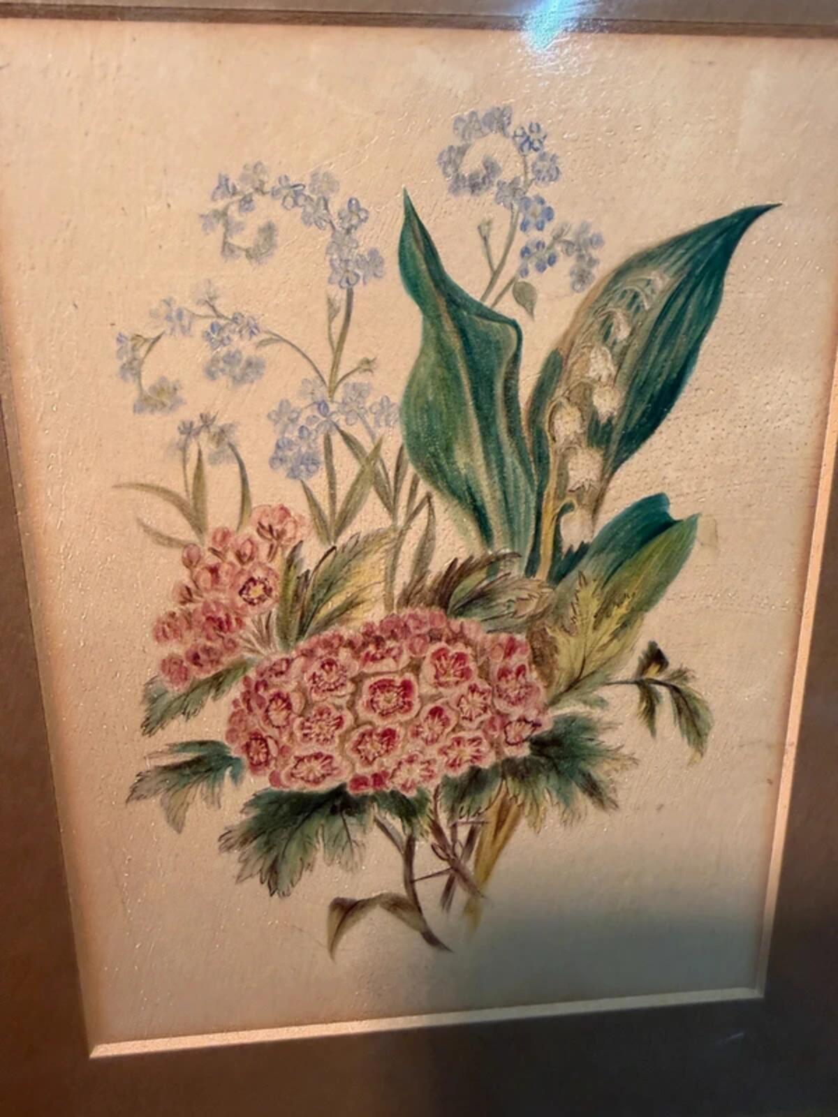 Vintage Framed Floral Drawing