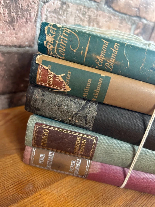 Bundle of 5 Vintage Books