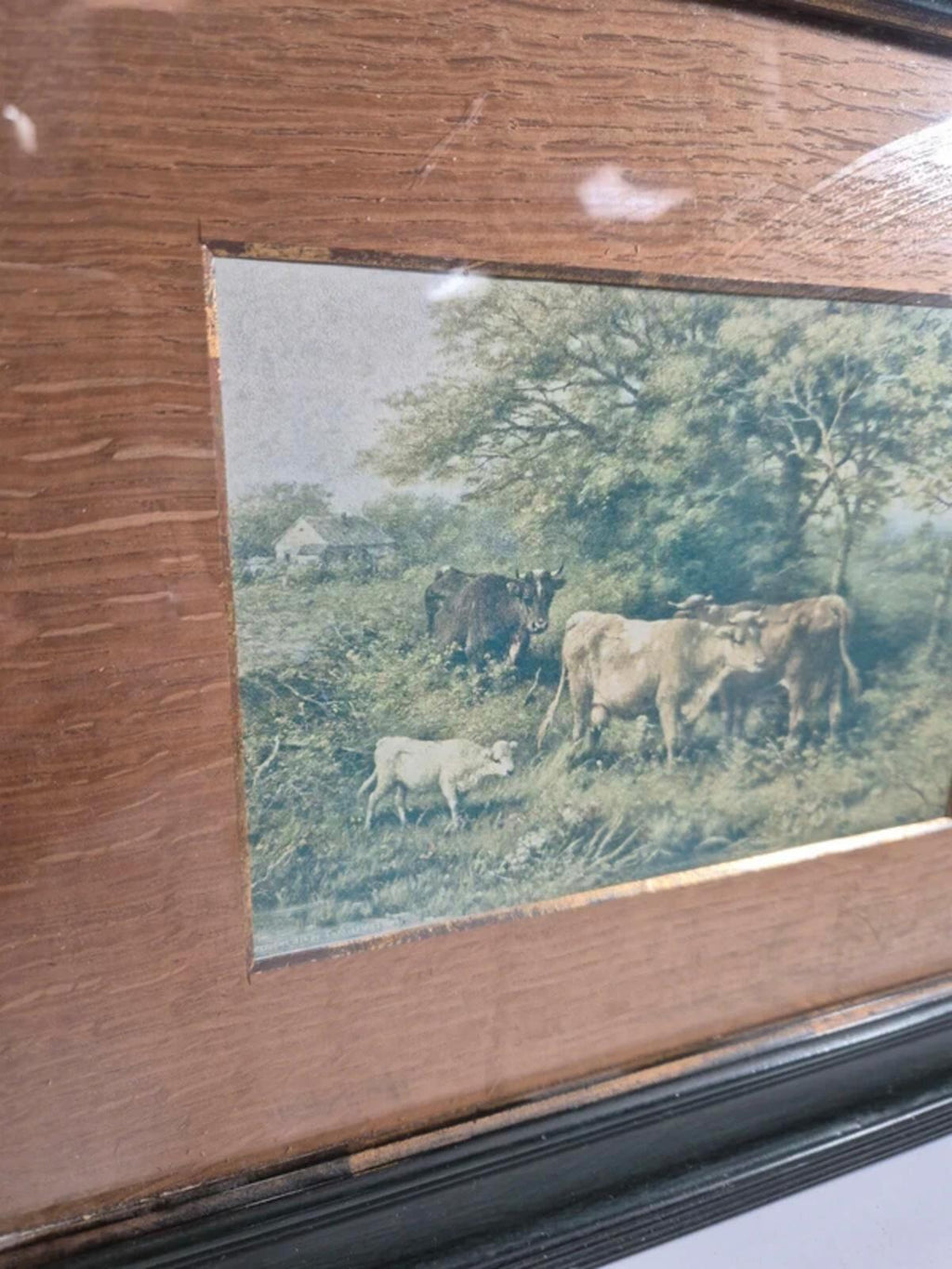Vintage Cow framed print