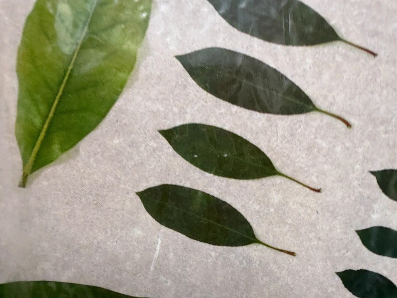 Leaf Pattern Padded Base Tray