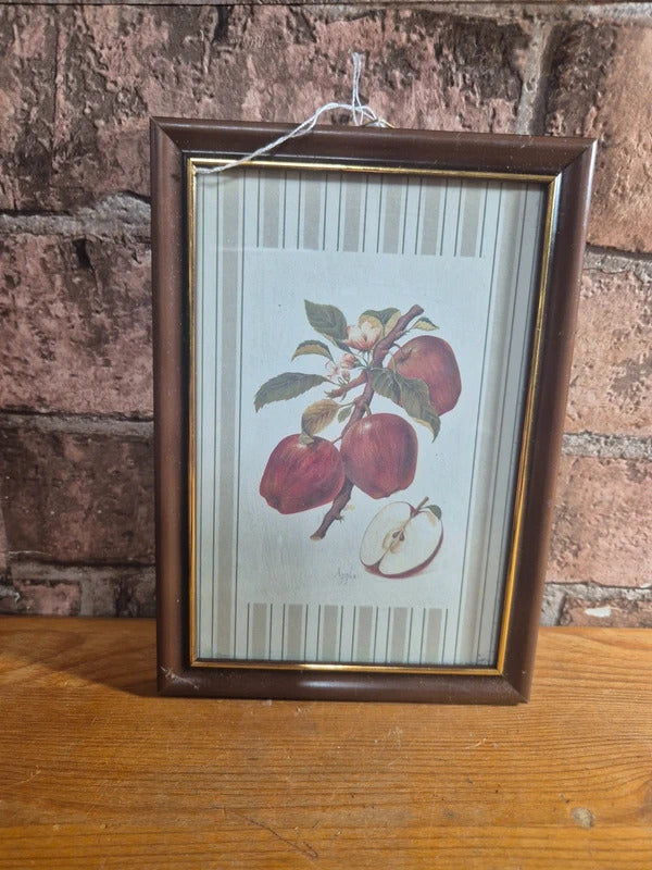 Vintage apple print