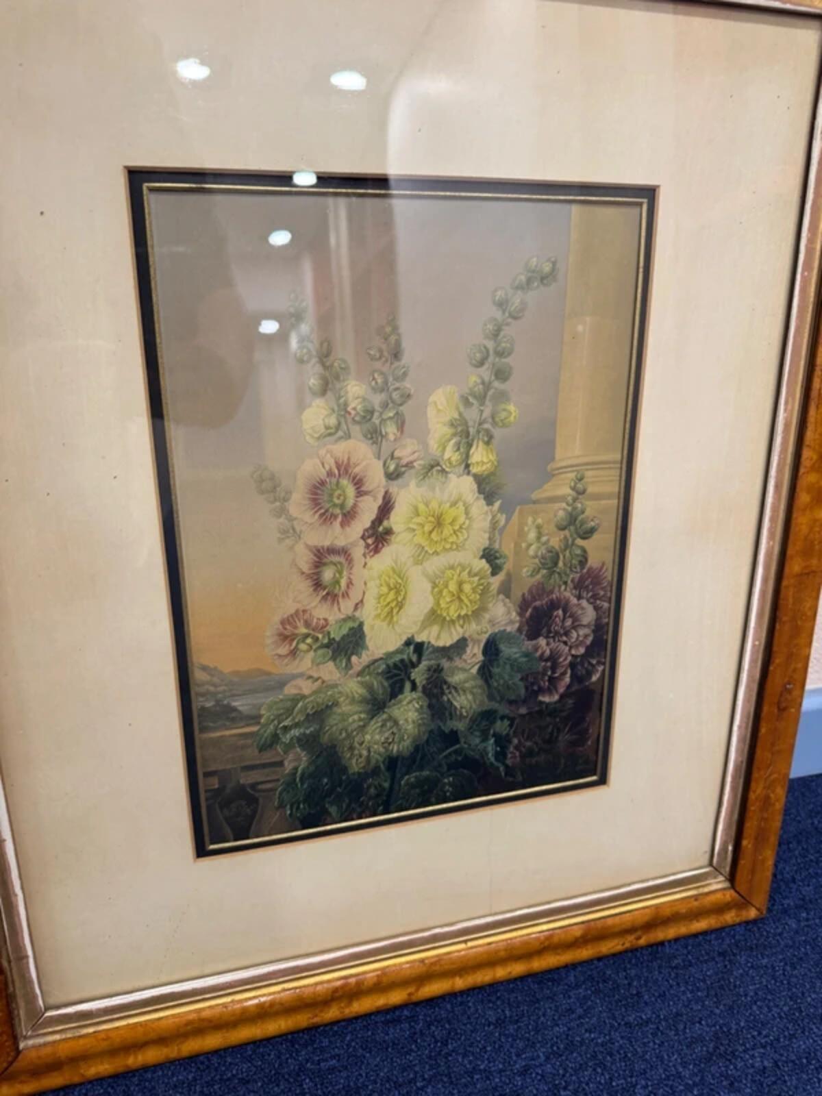 Vintage George Baxter 'Hollyhocks' Walnut Framed Print