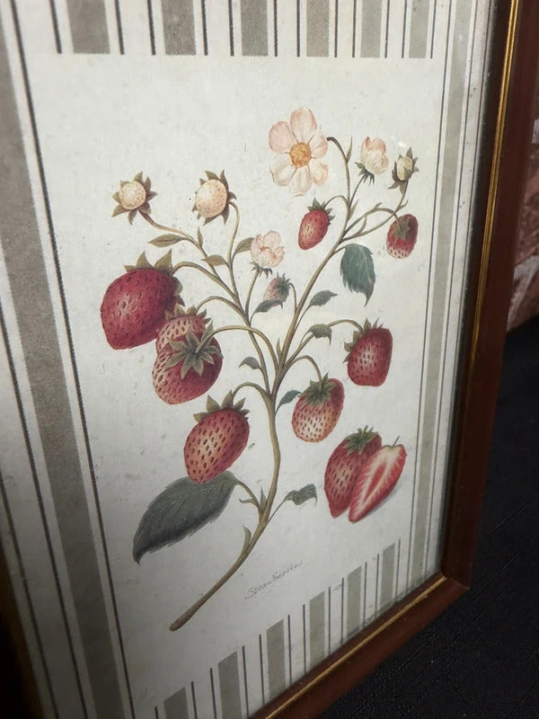 Strawberry Botanical Vintage Framed Print