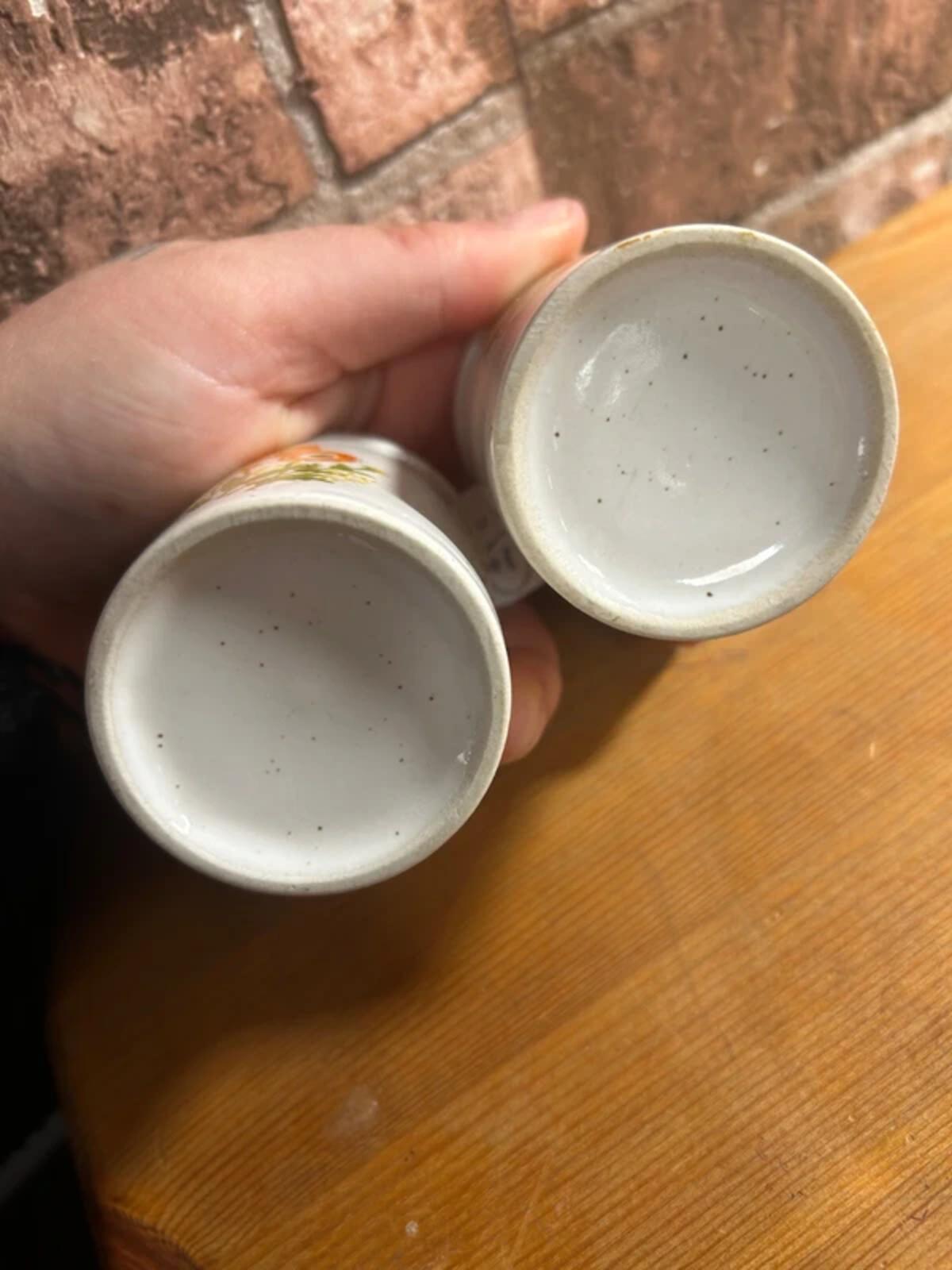 Pair of Vintage Floral Spice Jars
