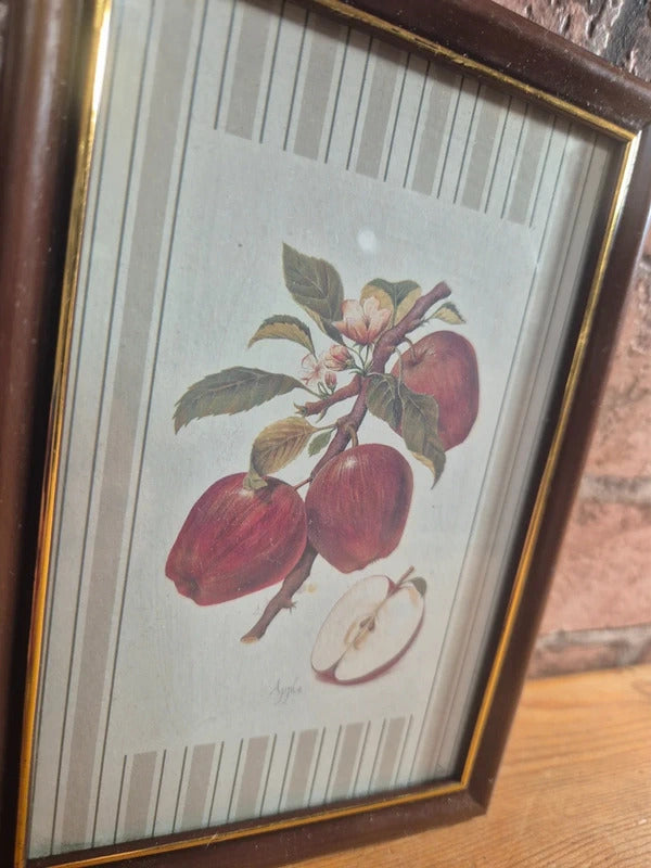 Vintage apple print