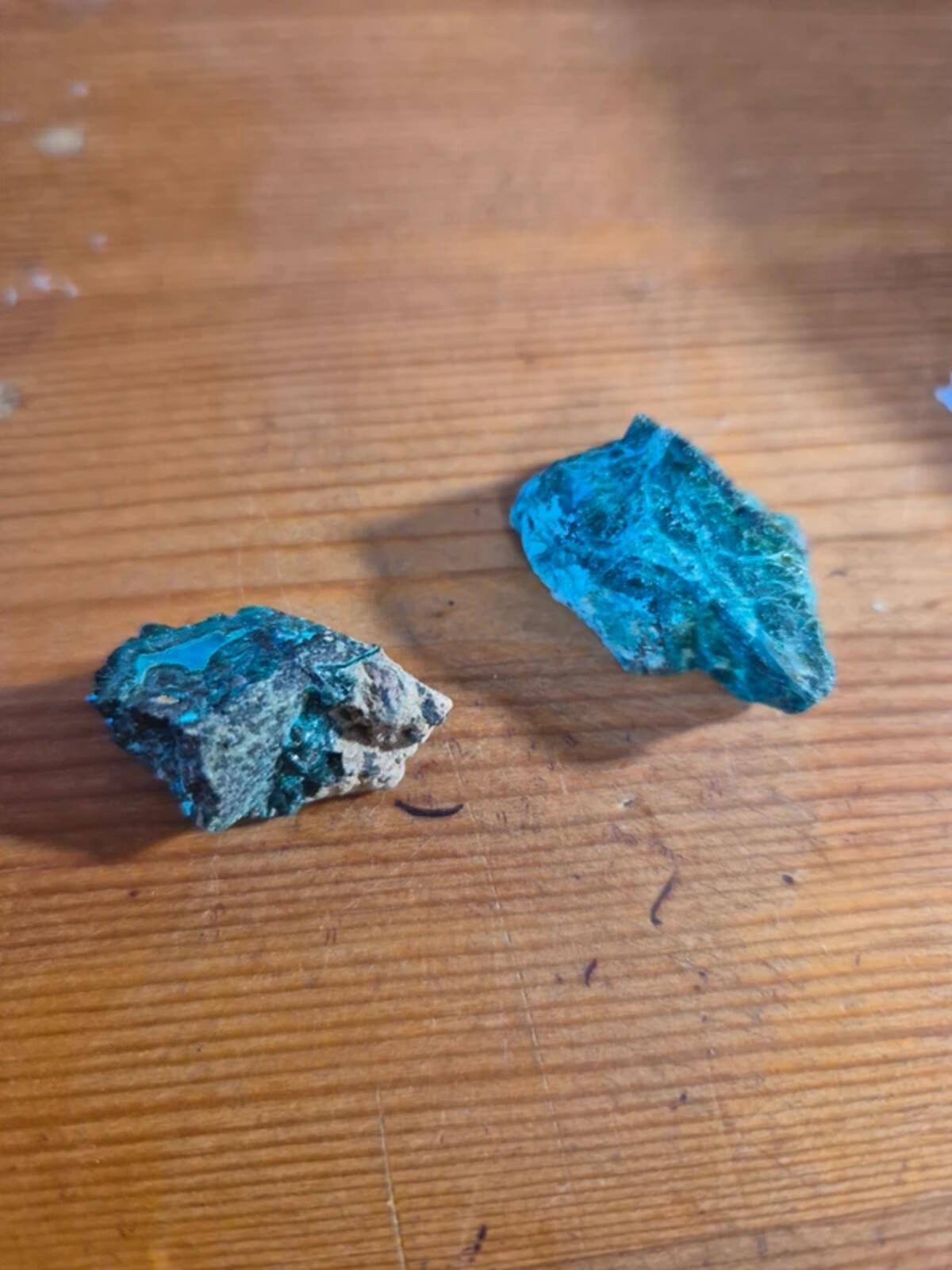 Chrysicola x2