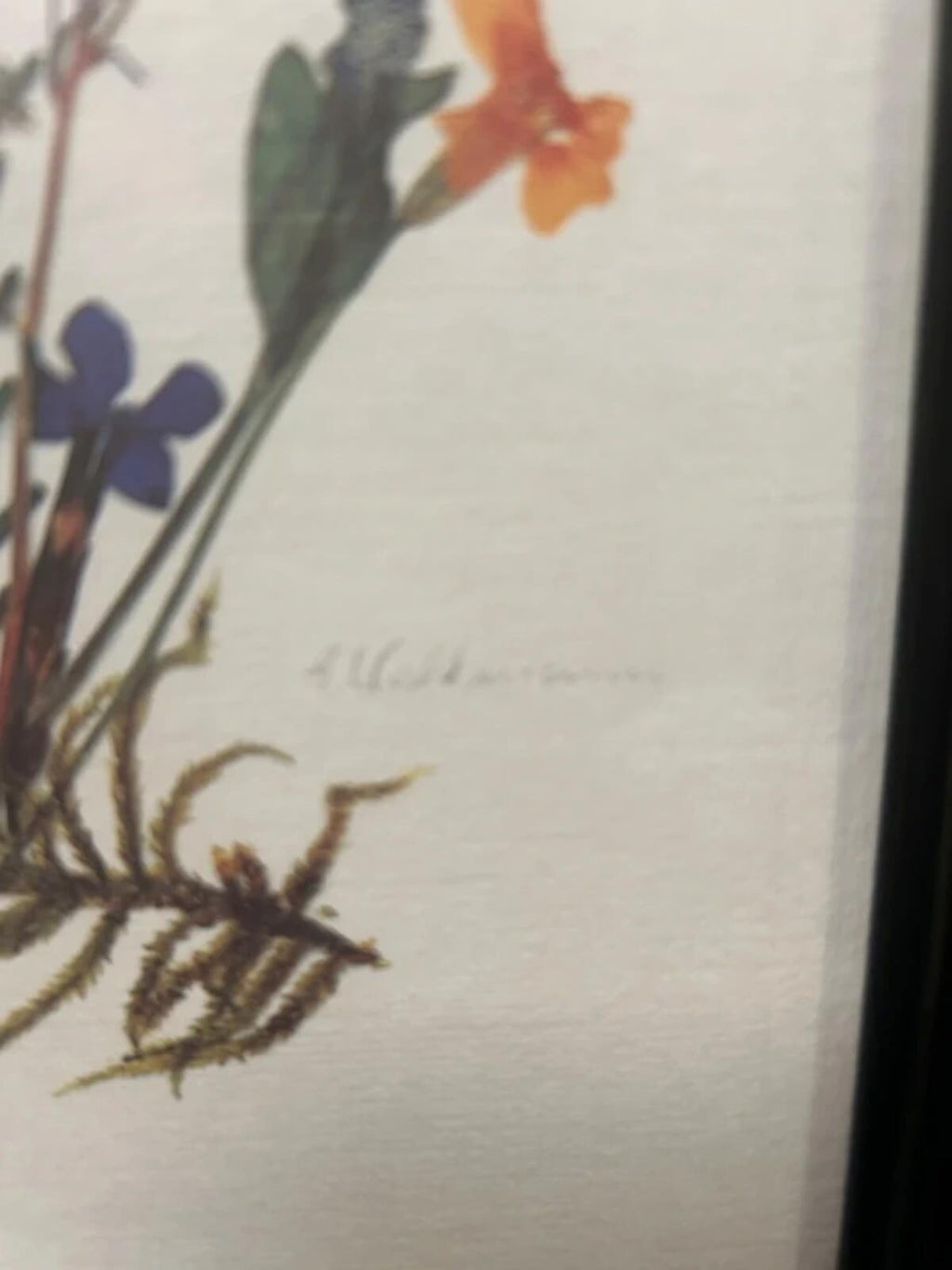 Vintage Pair of Floral Framed Prints