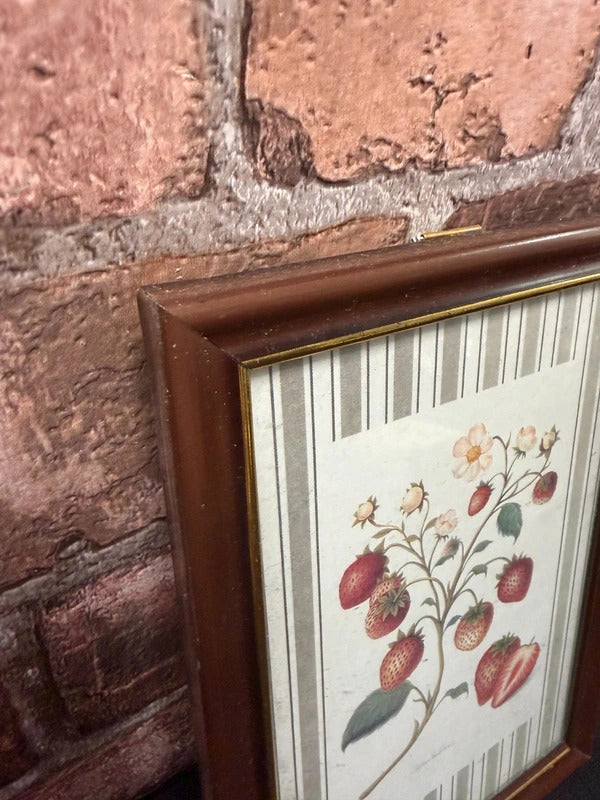 Strawberry Botanical Vintage Framed Print
