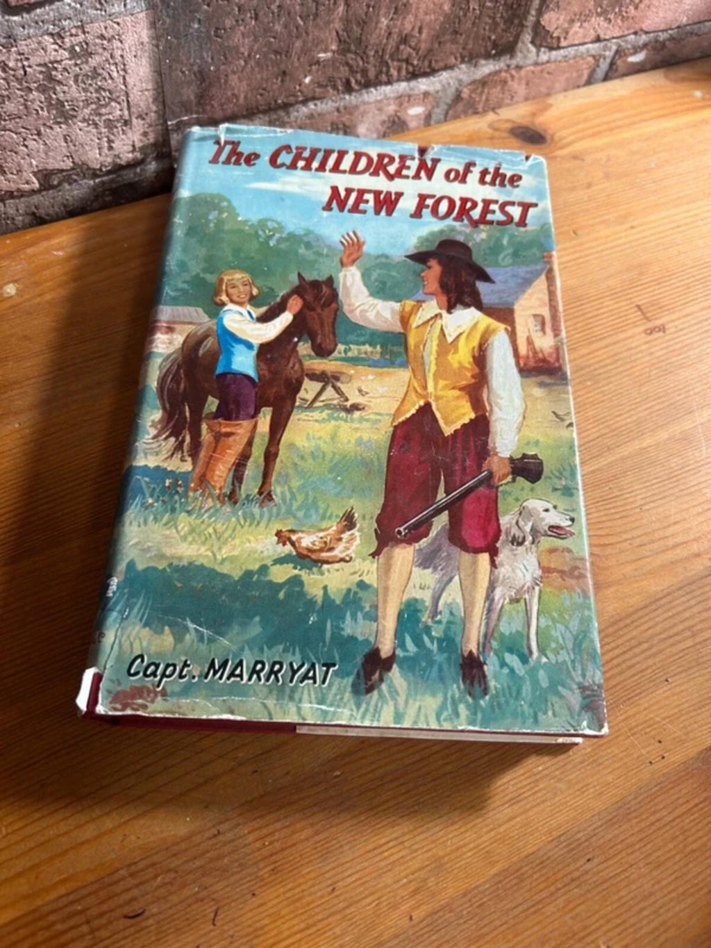 Vintage Children of The New Forest Book