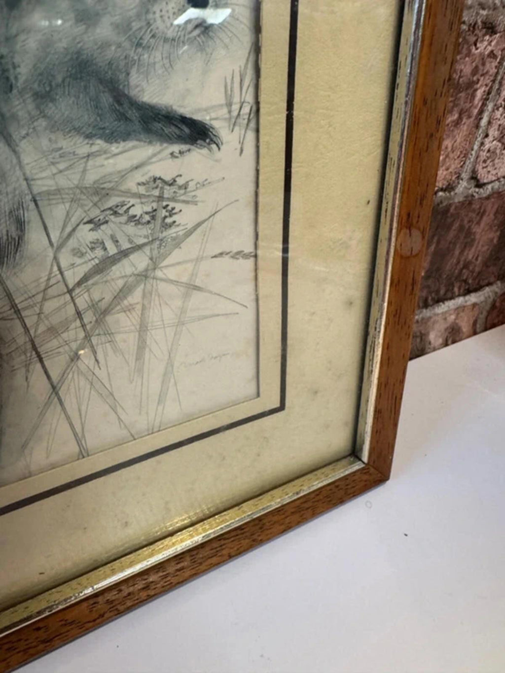 Vintage Mads Stage 1970s Framed Animal Drawing Sketch