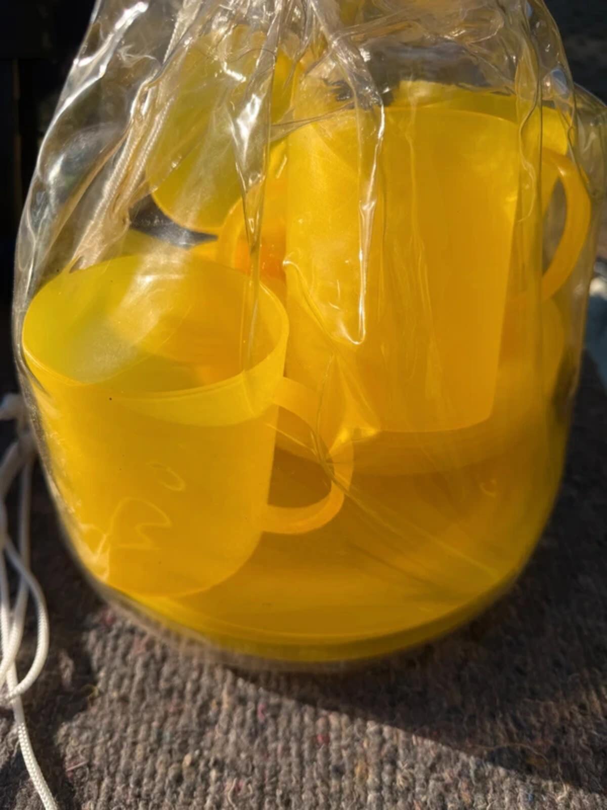 Vintage Yellow Picnic Set in Storage Bag