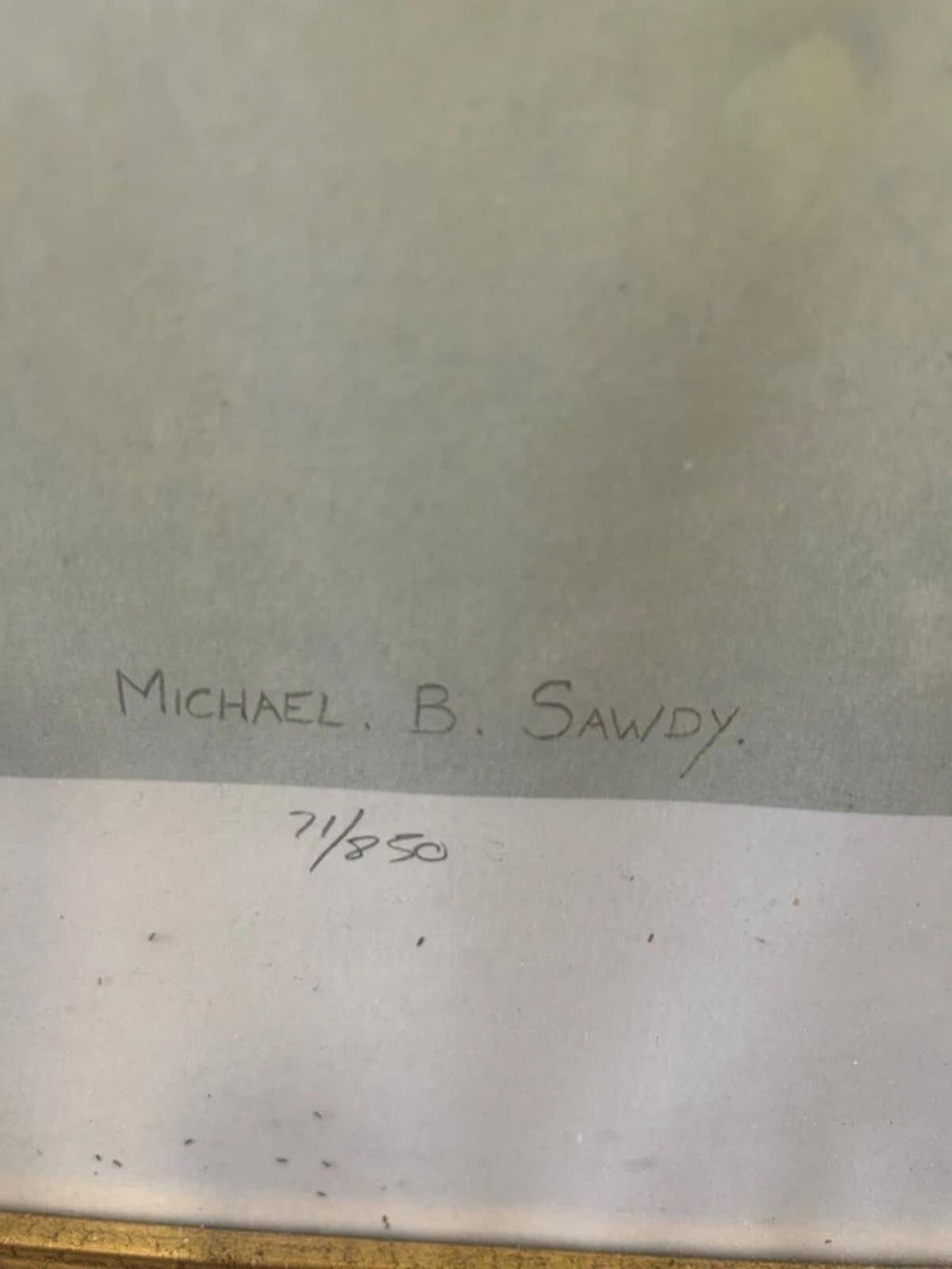 Michael B. Sawdy Swallow Framed and Signed Print