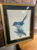 David Andrews 'Dartford Warbler' Framed Print