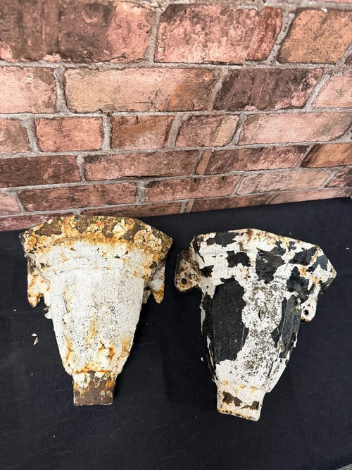 Cast Iron Hopperhead Planters