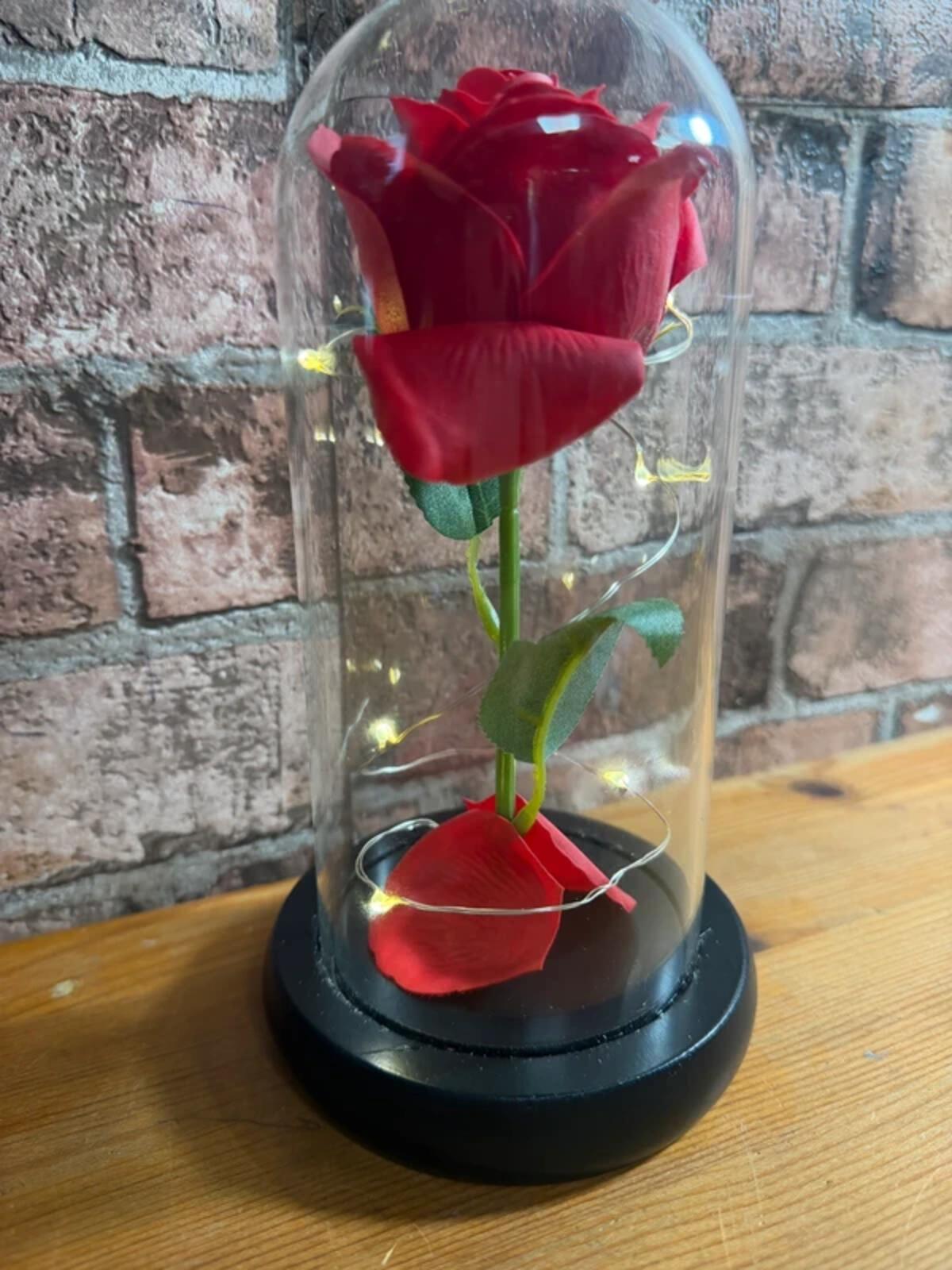 Faux Rose in Glass Dome Cloche