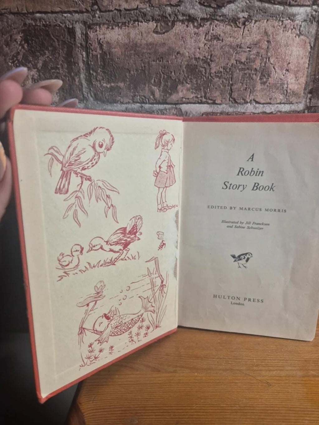 A Robin Story Book