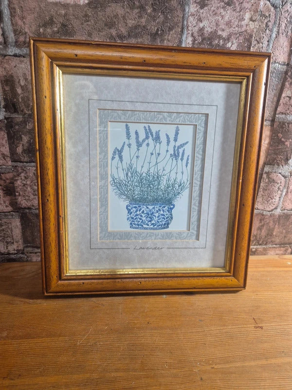 set of 4 vintage herb prints