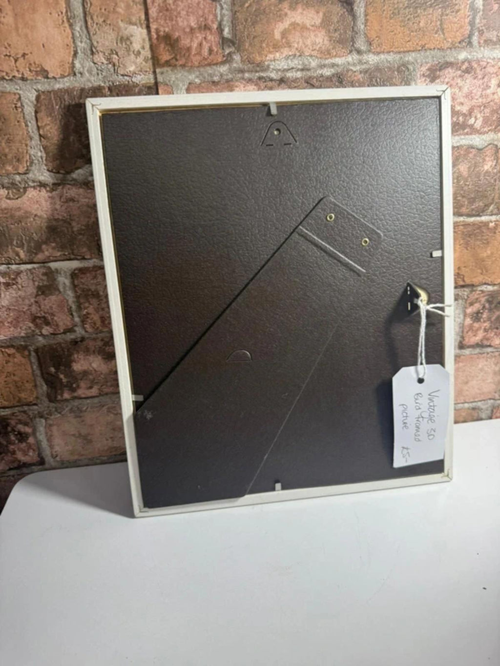 Vintage 3D Bird Framed Picture