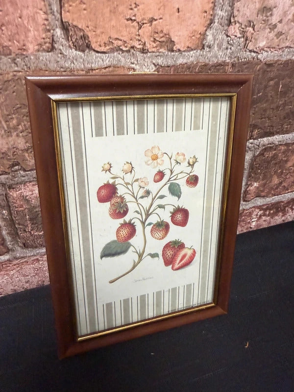 Strawberry Botanical Vintage Framed Print