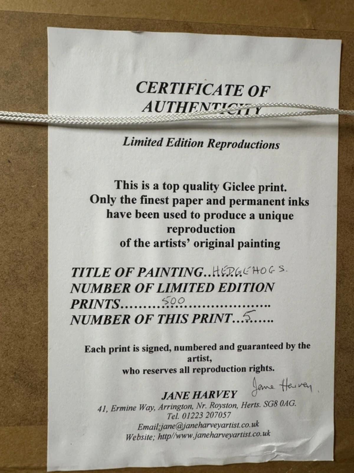 Jane Harvey "Hedgehogs" Gold Framed Limited Edition Print