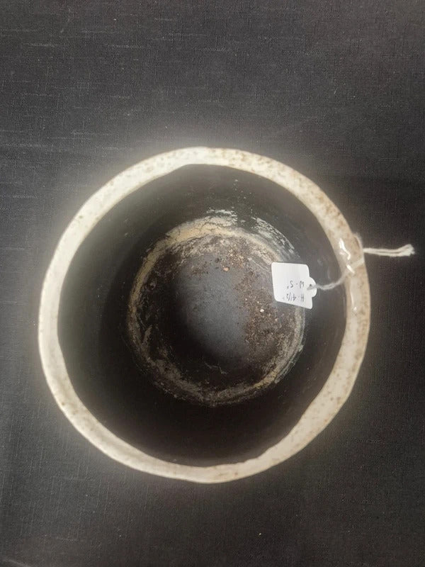 Ceramic plant pot