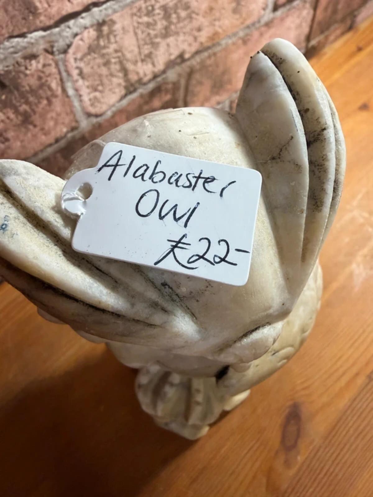 Alabaster Owl