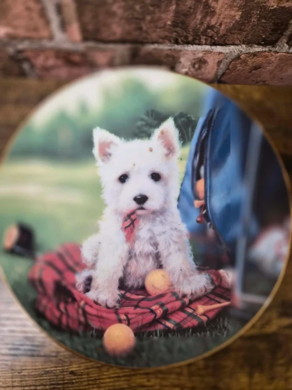 Good Sports Vintage Dog Plate