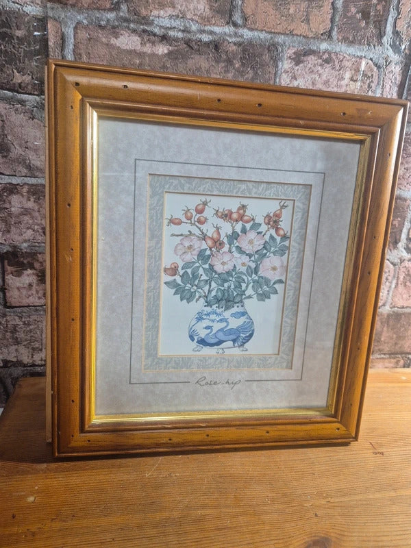 set of 4 vintage herb prints