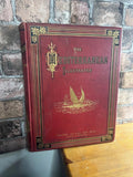 The Mediterranean Illustrated 1877-1880 Antique Book