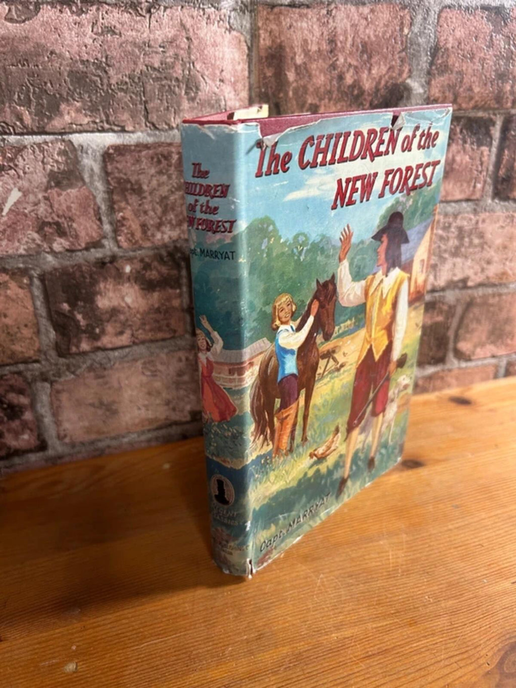 Vintage Children of The New Forest Book