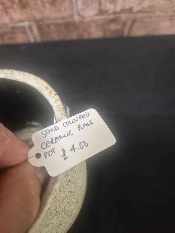 Ceramic plant pot